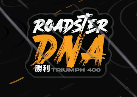 L2W - DNA - BIKE STICKERS